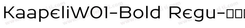 KaapeliW01-Bold Regu字体转换